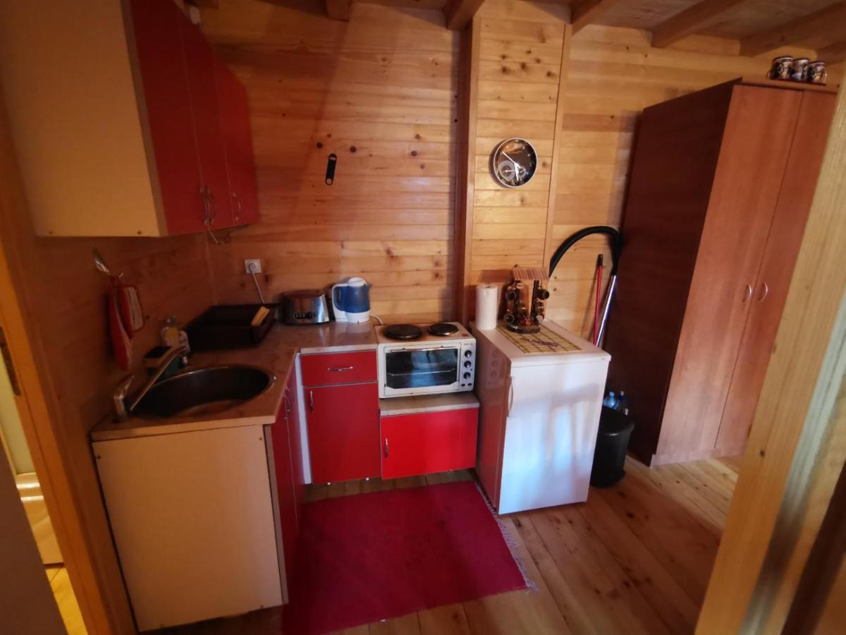 Apartman Bugar Мітровац Екстер'єр фото